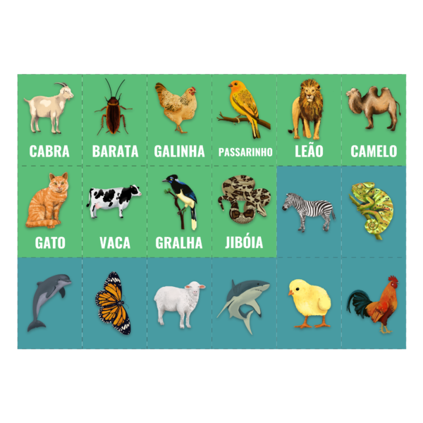 baralho rima dos animais