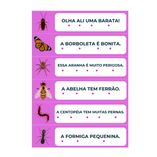 Palavras e Frases